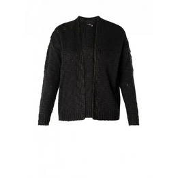 Overview image: Yest Vest Annefien