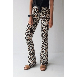Overview image: Madame Liz Flared legging