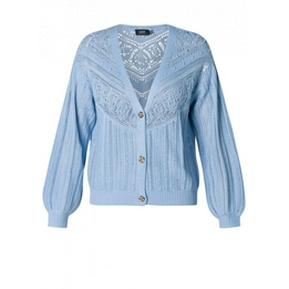 Overview image: Yest Vest Ida