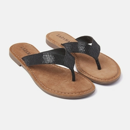Overview image: Lazamani Slippers Snake