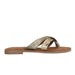Overview image: Lazamani Slipper Shiny