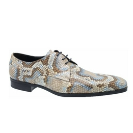 Overview image: Giorgio Veterschoen snake multi