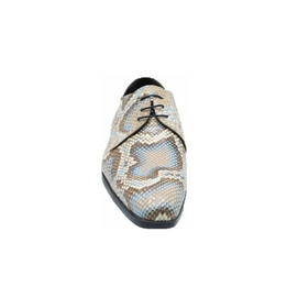 Overview second image: Giorgio Veterschoen snake multi