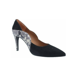 Overview image: Passo Pump python